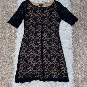 Connected apparel black lace dress! Size 12